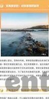 91,麻豆-揭开91号背后的麻豆迷思，创新的边界与文化反思