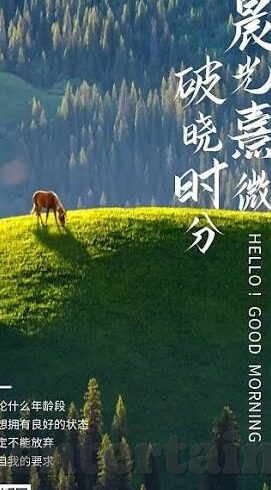 糖心视频app最新-糖心视频app最新版，解密精彩内容与互动升级的魅力